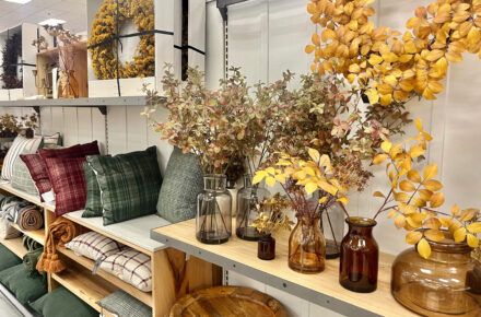 Top Fall Finds at UTC in Sarasota