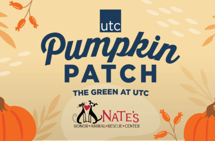 Pumpkin Patch at UTC