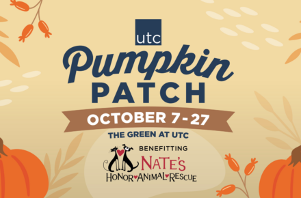 Pumpkin Patch at UTC
