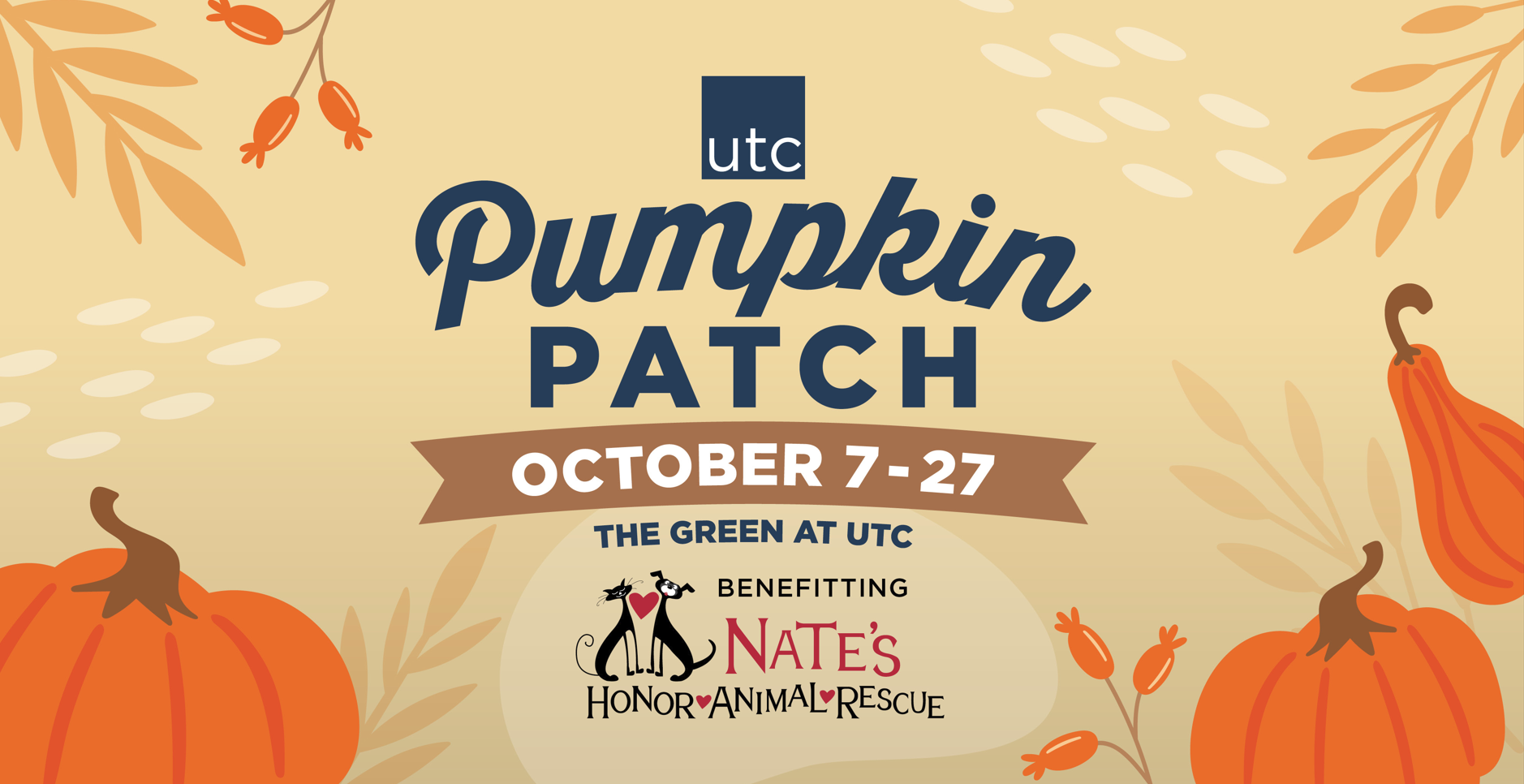 Pumpkin Patch at UTC University Town Center Sarasota